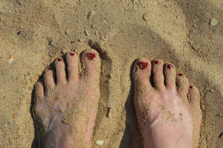 women's feet on the sea sand. summer, background decoration.の写真素材