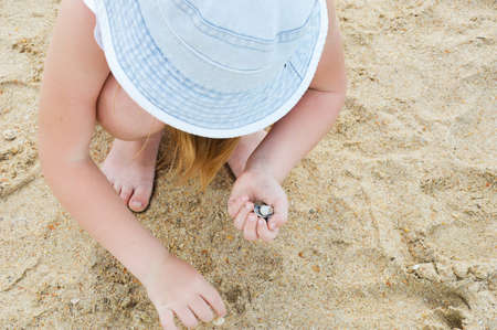 a child collects seashells on the seashore. children's hands. summer holiday. background for the design.の写真素材