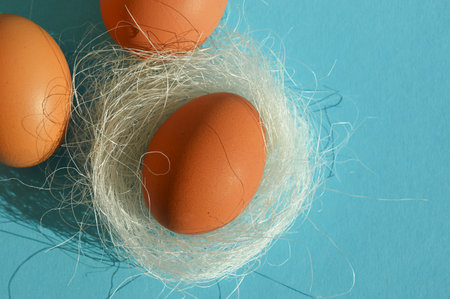 Easter eggs in a nest on a blue background. Easter concept.