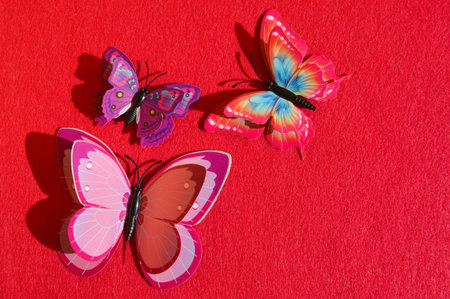 Butterflies on a red background, top view, copy spaceの写真素材