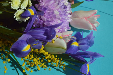 Bouquet of spring flowers on a blue background. Tulips, iris, tulips, mimosa.の写真素材