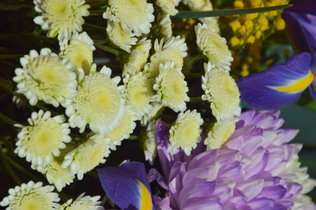 Bouquet of flowers with irises and chrysanthemumsの写真素材