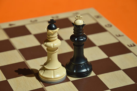Two chess pieces on a chessboard. black and white figures.