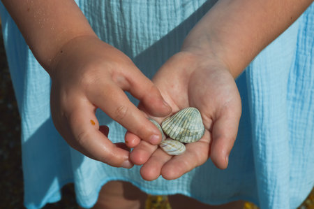 Little girl holding seashells in her hands. Close up.