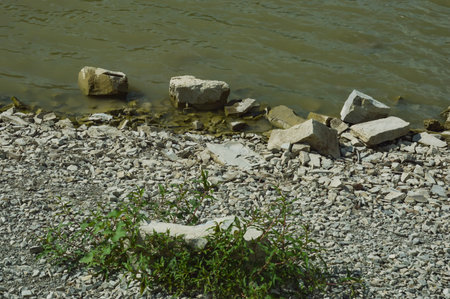 River bank with pebbles and green plants on the shore.の写真素材