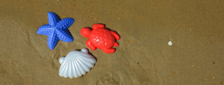 Colorful starfish and seashells on the sandy beach.の写真素材