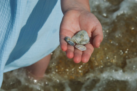 Sea shells in the hands of a child. Selective focus. nature.の写真素材