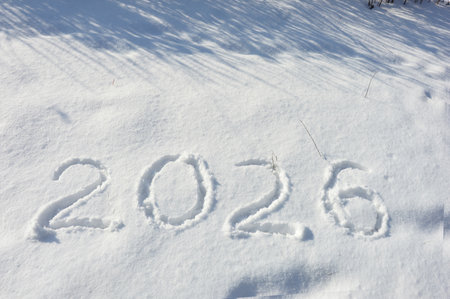 New Year written on snow with shadow of pine branches.の写真素材