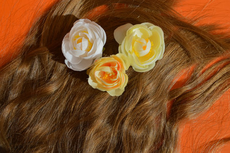 Curly hair with yellow and white roses on an orange background.の写真素材