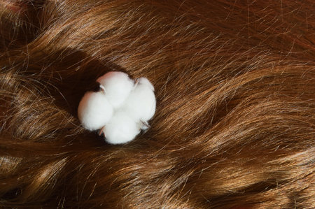 Fluffy cotton ball on the hair of a young woman. Close-up.の写真素材