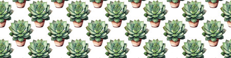 Seamless pattern with succulents on a white background.の素材