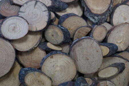 pile wood boughsの写真素材