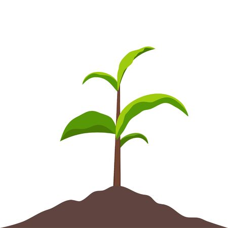 Sprout growing in soil. Small sprout with green leaves. Symbol of development, organic agriculture, natural products. Vector gardening plant, symbol of ecology.Flat vector illustrationのイラスト素材