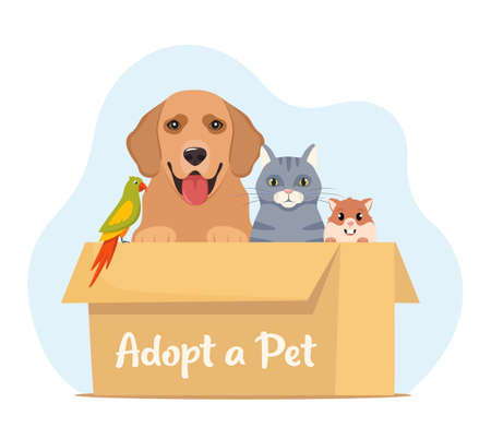 Adopt a pet. Cute homeless puppy, kitten, hamster, parrot inside a cardboard box are waiting for the adoption. Vector illustration for animal shelter posterのイラスト素材