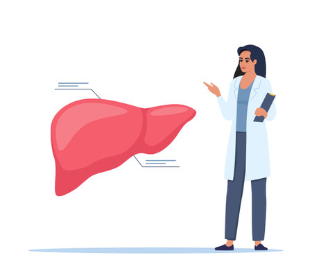 Doctor gives a training lecture about anatomy. Doctor presenting human liver infographics. Medical seminar, lecture, healthcare meeting concept. vector illustrationのイラスト素材