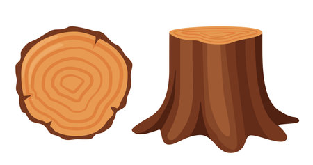 Tree stump, side and top view. Forestry and lumber industry. Vector illustrationのイラスト素材