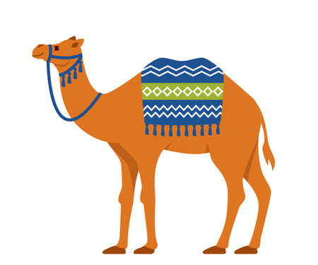Camel. Two-humped desert animal with bridle and saddle. Vector illustrationのイラスト素材