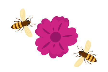 Happy bee flying. Honey bee flying to the flowers collecting nectar. Vector illustrationのイラスト素材