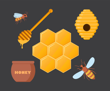 Beekeeping set. Beehive, bee, honeycombs, honey jar, dipper on dark background. Healthy sweet syrup. Beekeeping farm. Honey bee farming business. Vector illustrationのイラスト素材