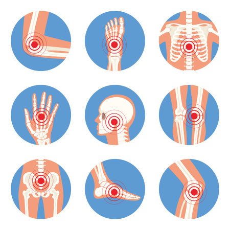 Parts of human body on x ray view. Different x-rays shot of human body parts with skeleton pain points. Chronic anatomy body injury in circle shape. Vector illustrationのイラスト素材