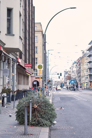 Berlin / Germany-01 01 2020: A used, discarded Christmas tree is lying on the edge of the street in Germany for recyclingのeditorial素材