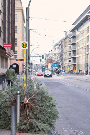 Berlin / Germany-01 01 2020: A used, discarded Christmas tree is lying on the edge of the street in Germany for recyclingのeditorial素材