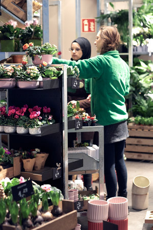 Hamburg Germany-01.05.2020: Women florist shows flowers to a customer in a flower and plant shopのeditorial素材