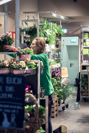 Hamburg Germany-01.05.2020: Women florist lays out and arranges pots of flowers on shelves in flower and plant shop, holding a plant in a potのeditorial素材