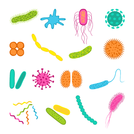 Germs and bacteria icons set  isolated on white background.  Shape of bacterial cell: cocci, bacilli, spirilla.  Vector  illustration in flat style.のイラスト素材