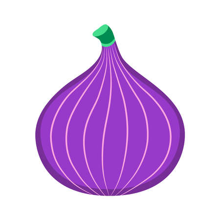 Fig. Organic fruit isolated on white background. healthy lifestyle. Vector illustration in flat style.のイラスト素材