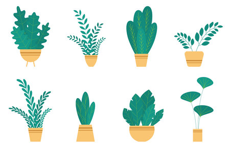 Set house plants and flowers in ceramic pots. Flat style home plants and leaves on white background. Hygge style. Trendy vector botanical elements.のイラスト素材