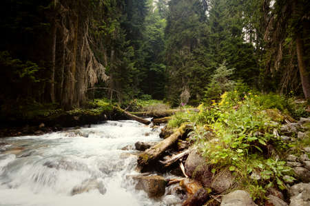 mountain riverの写真素材