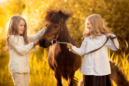 little girls with her horse in evening sunset light. Outdoor photography with fashion model girl. Lifestyle moodの写真素材