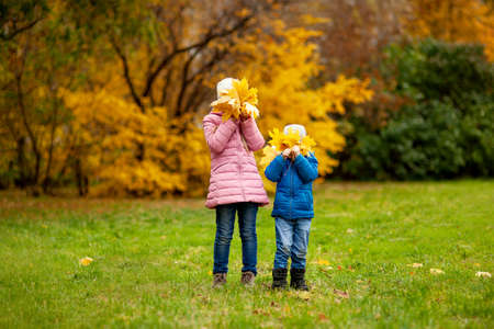 Adorable little girl and boy outdoors at beautiful autumn dayの写真素材