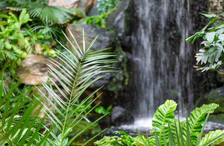 A place to relax in a spa hotel surrounded by greenery with a waterfallの写真素材