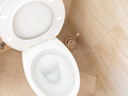 A toilet bowl with a plunger next to itの写真素材