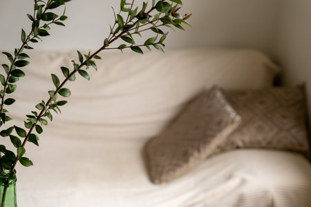 The plant and the sofa with two pillows are out of focus. Place to restの写真素材