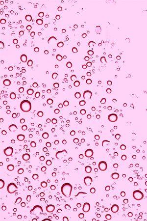 Light rose background with drops of waterの素材
