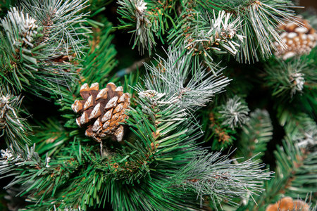 Artificial pine with a cone. Close upの写真素材