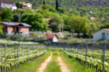 Landscape nature calm blurred backgroundの写真素材