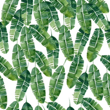 Hand drawn watercolor summer  Tropical leaves,seamless patternの写真素材