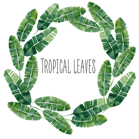 Hand drawn watercolor summer  Tropical leaves wheat. Can be used for logiの写真素材