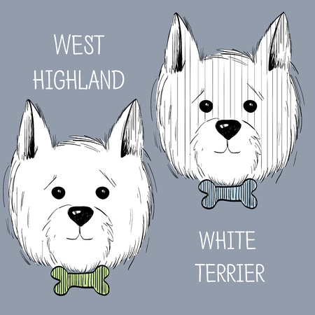 west highland white terrier scetch.Can be used like post card, background or bannerのイラスト素材