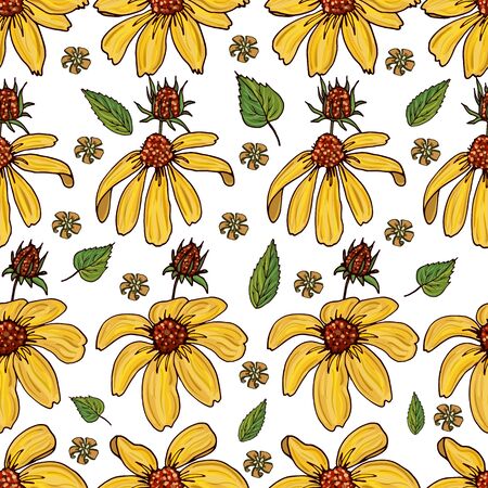 Seamless pattern with yellow Rudbeckia and herbs. Endless texture with orange flowers for design.のイラスト素材