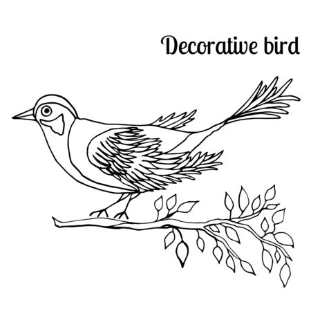 Wild bird oriolus for decor. Vector animal illustration.のイラスト素材