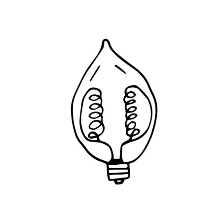 Single hand drawn light bulb dear rim. Doodle vector illustration for greeting cards, posters, stickers, packaging. Isolated on white background.のイラスト素材