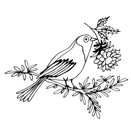 Hand drawn decorative monichrome bird with flower on white. A bird sits on a branch and holds a flower in its beak. Vector background for cards, design, fabric, textile, coloring. Greeting card.のイラスト素材