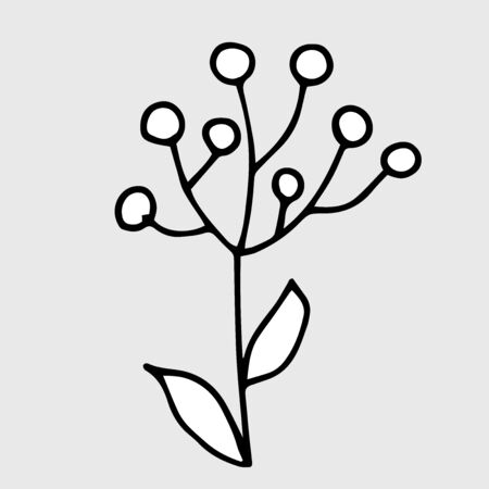 Vector drawing meadow herb. Isolated floral element. Hand drawn botanical doodle illustrationのイラスト素材
