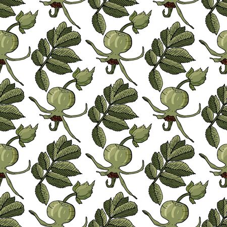 Seamless pattern with hand drawn rose hip. Fruit background. Vector illustration.のイラスト素材