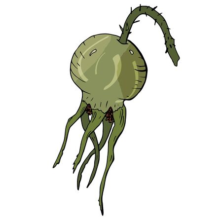 Rosehip colorful fruit isolated sketch on white background. Detailed hand drawn illustration with fruit of rosehip. Floral element for decor.のイラスト素材